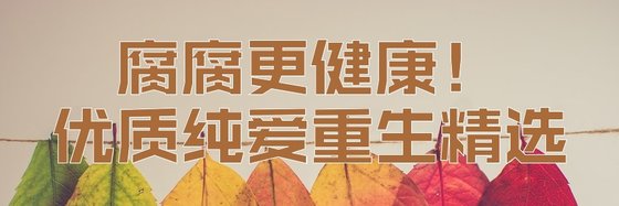 腐腐更健康！优质纯爱重生精选